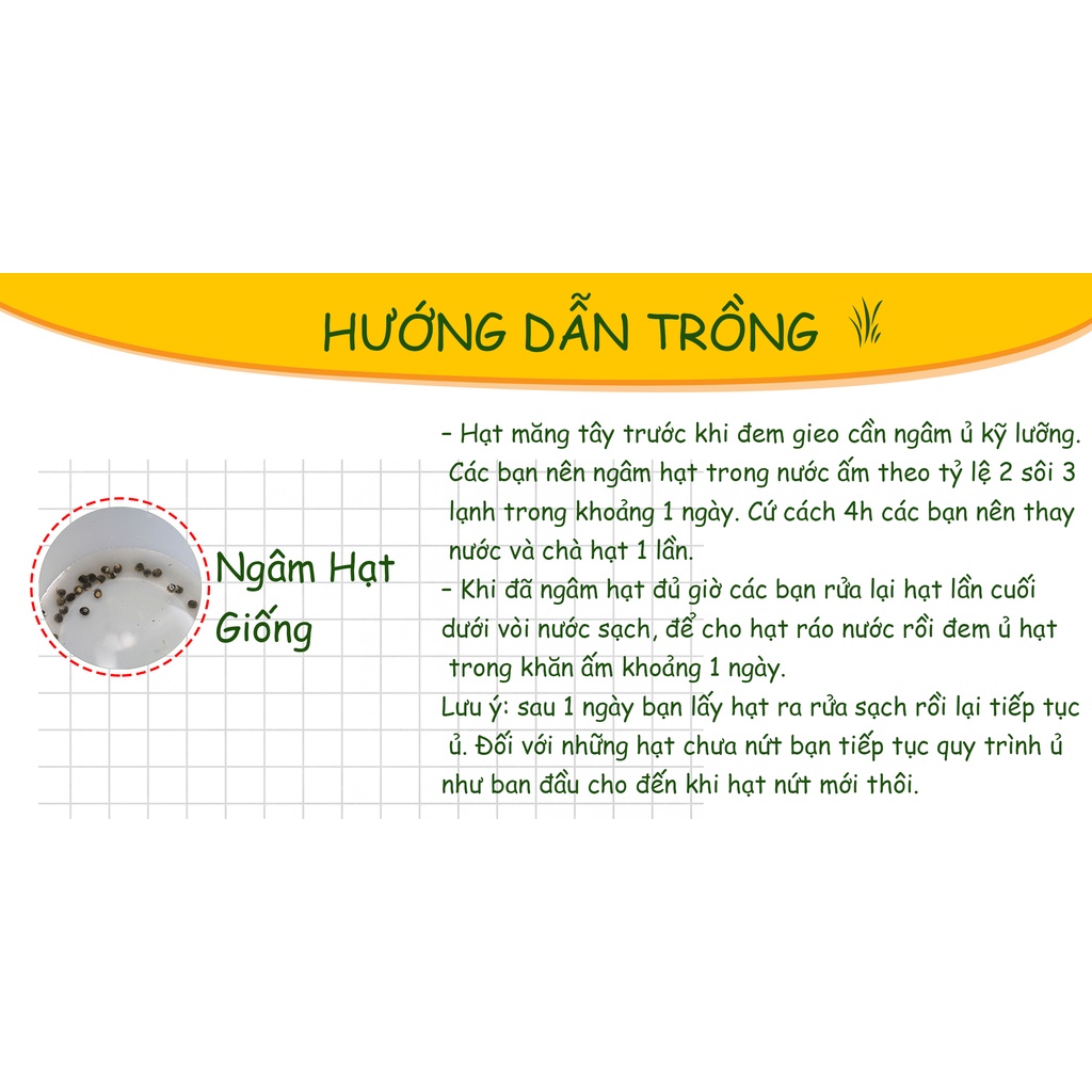 Hạt giống Măng Tây Tím ( Gói 10 Hạt ) - Nông Sản Vàng