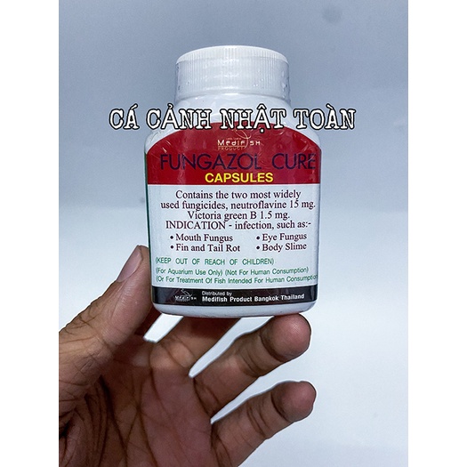 FUNGAZOL CURE CAPSULES THÁI 30 VIÊN THÁI LAN HỖ TRỢ NẤM CHO CÁ CẢNH
