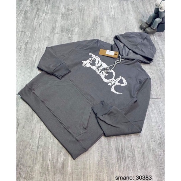FREE SHIP  [FREE SHIP] Áo Hoodie Nam Nữ Dior Có Mũ Chất Liệu Nỉ Da Cá Cao Cấp - Áo Nỉ Thu Đông Dài Tay Dễ Phối Đồ - Bee | BigBuy360 - bigbuy360.vn
