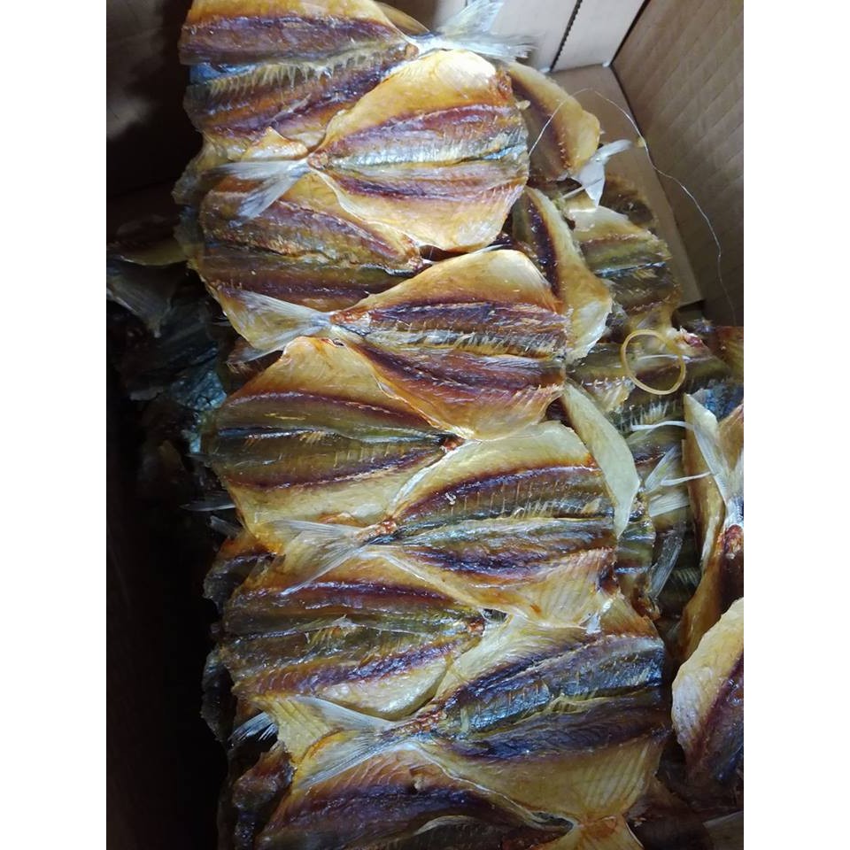 cá chỉ vàng L1 ( ảnh thật 100%)