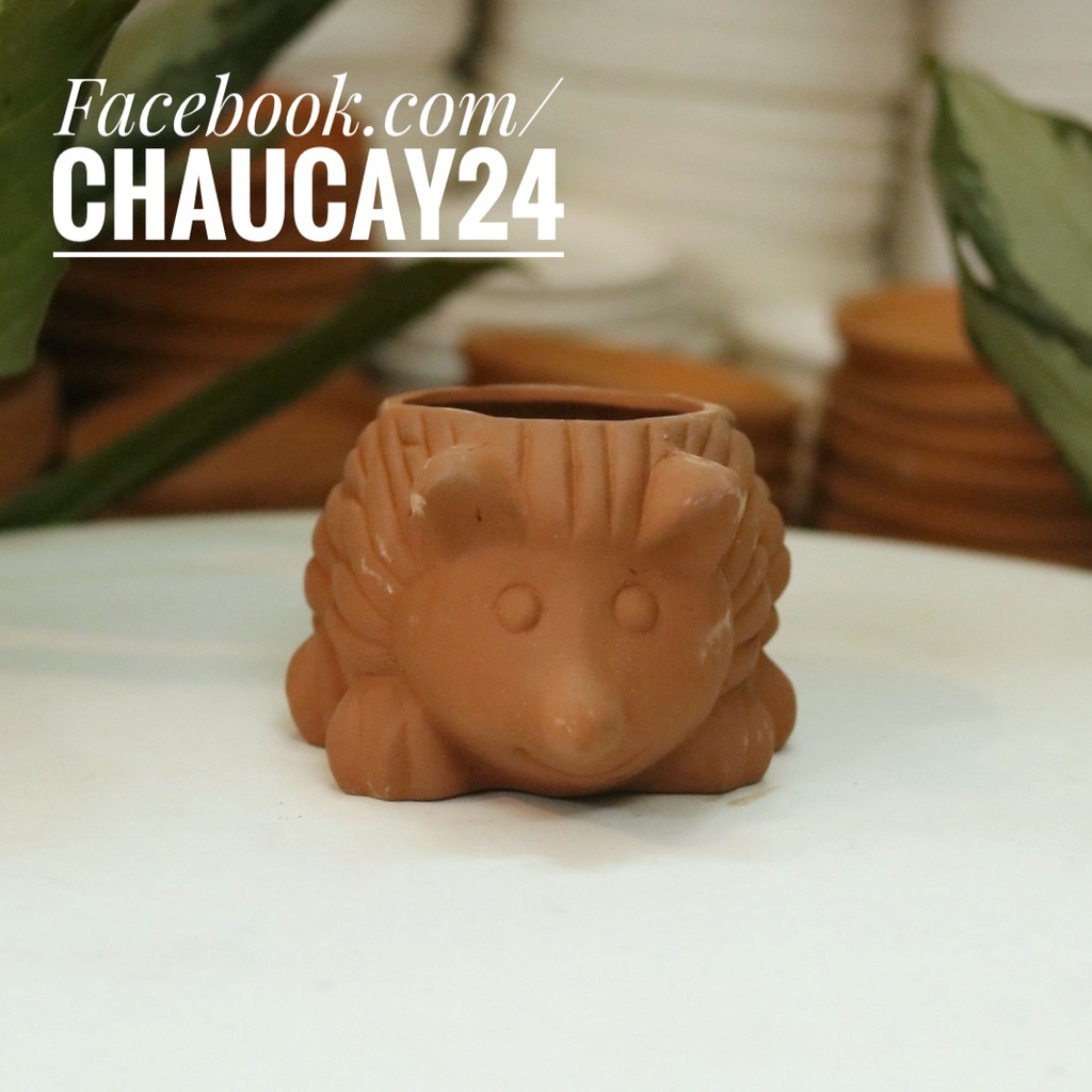 Chậu đất nung trồng cây hoa kiểng, sen đá, xương rông, cây may mắn, cây mini hình thú