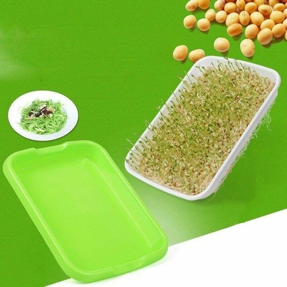 Khay Nhựa Trồng Cây Hai Tầng Không Cần Đất