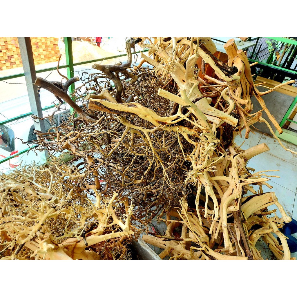 Lũa xương trùm, tán quýt dùng để tạo lũa dáng bonsai cho Bể Thuỷ Sinh, Bể Cá - 100g