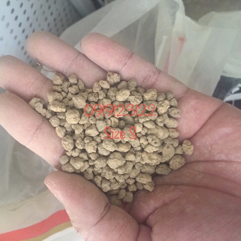 đất nền akadama size SS túi chiết 1kg