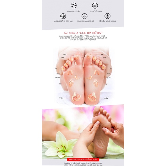 Máy massage chân cao 5D AYOSUN Hàn Quốc (Bảo hành 5 năm chính hãng)