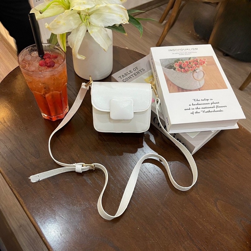 Túi mini khoá màu mẫu mới nhất