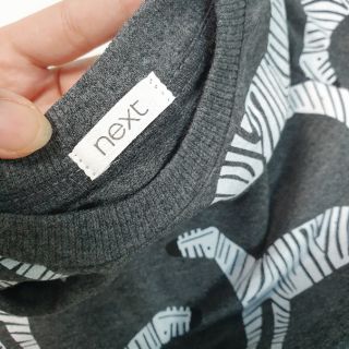 Bộ ngựa vằn Next
