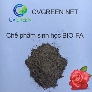 Trichoderma BIO FA - Ngăn ngừa bệnh cho cây trồng (gói 1kg)
