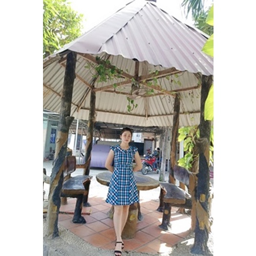Đầm công sở xòa caro Mỹ cổ cánh sen tay cánh sen #TTP03W