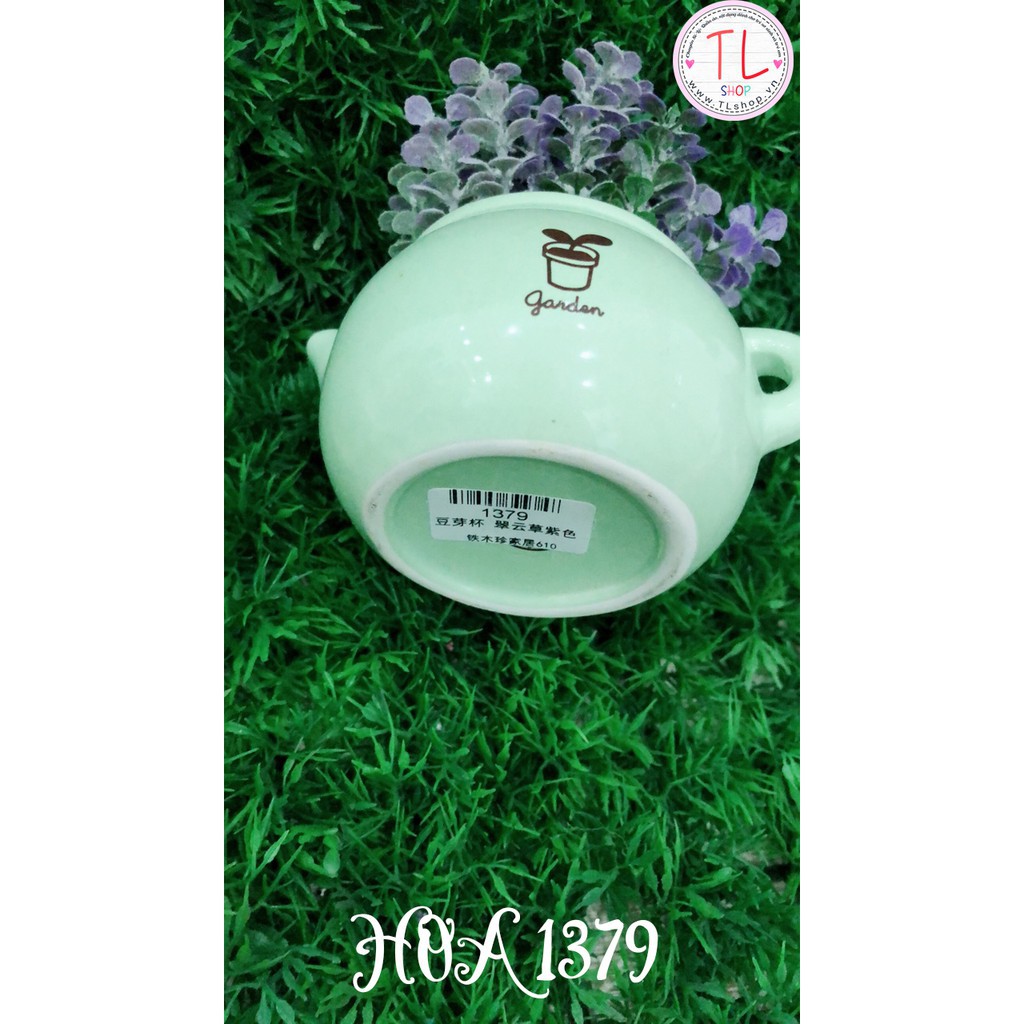 Bình hoa trà xinh xắn - Chậu hoa trang trí