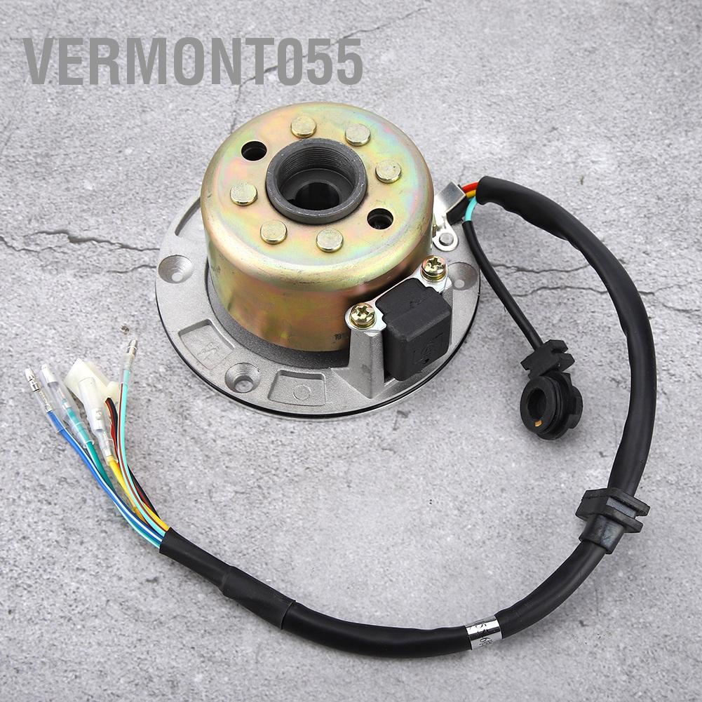 Có thể bán buôn Bộ dụng cụ động cơ Stator Rotor Magneto Coil Fit cho ZongShen 150CC Động làm mát bằng dầu Vermont055 Hàng giao ngay