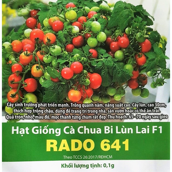 Hạt Giống Cà Chua Bi Lùn Lai F1 Sai Quả Dễ Trồng Chịu Nhiệt Tốt