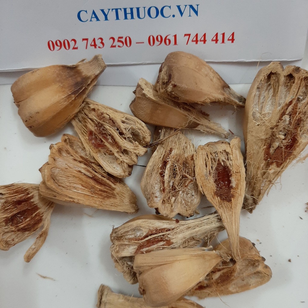 Trái Dứa Dại Khô (Dứa Rừng) 1kg Sạch, Quả Dứa Dại Nguyên Chất Loại 1 | Thảo Dược An Quốc Thái