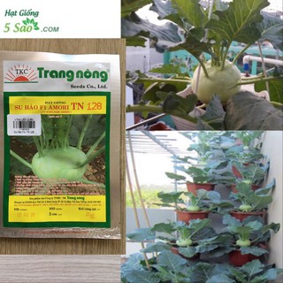 Hạt Giống Su Hào F1 Amori TN 128 - 2gr