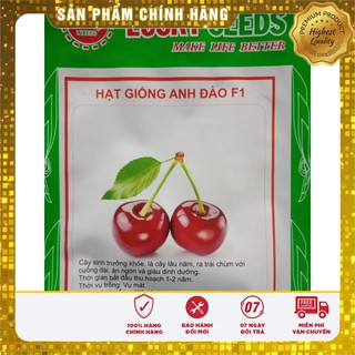 Hạt Giống Anh Đào