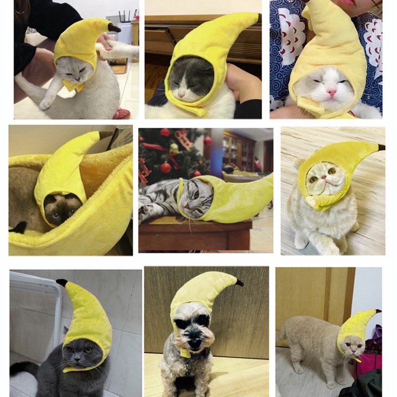 Mũ Đội May Mắn Dành Cho Thú Cưng Chó Mèo