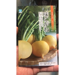 Hạt giống củ turnip vàng nhật bản