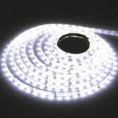 Cuộn Led dây dán 5m 5050 12V, LED DÂY TRANG TRÍ, DÂY LED CUỘN DECOR