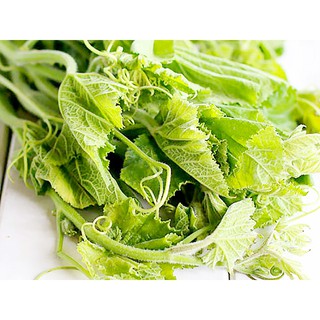 Gói 2g hạt giống bầu ăn ngọn