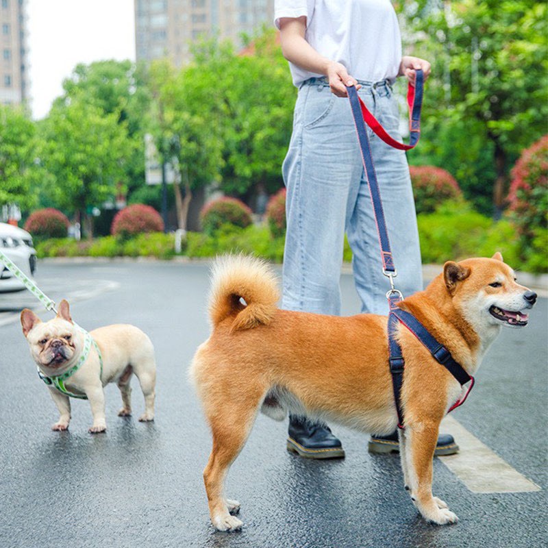 Dây dắt thú cưng yếm ngực chất liệu Poly cao cấp họa tiết hoạt hình, dây dắt chó, dây dắt mèo