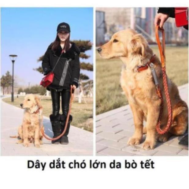Dây dắt chó lớn + dây  da bò tết cho chó trên 20kg