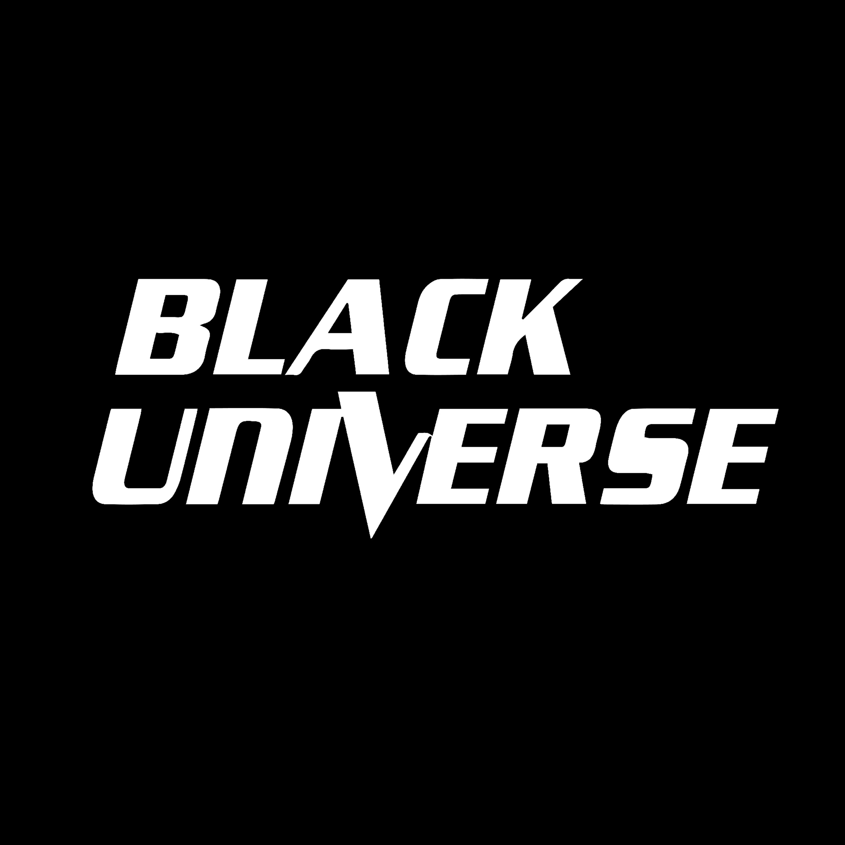 BLACK UNIVERSE