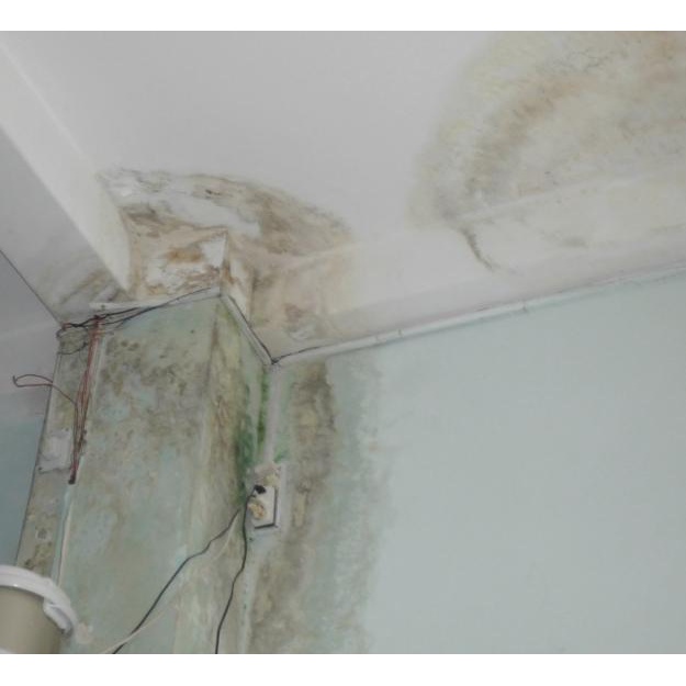 CHỐNG THẤM NGƯỢC TƯỜNG TRONG NHÀ - C1T