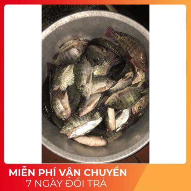 Tinh dầu câu cá tra cá trê cá chép cá trắm cá rô phi siêu nhạy – 58ml – Tinh dầu câu cá Yuhoo Thái lan - FIMAX
