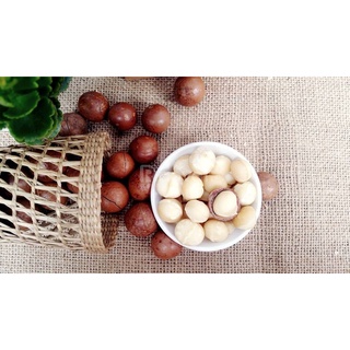 Hạt Macca Úc 500gr sấy nứt vỏ size 22-25