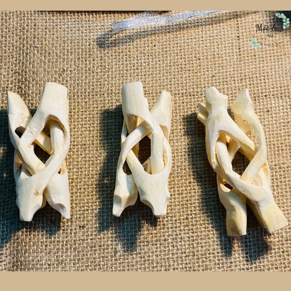 Vỏ XÀ CỪ kèm chân đế gỗ, Vỏ Xà Cừ chứa đồ thanh tẩy, Size 10cm