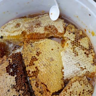 Mật ong rừng tây bắc - 1 lít