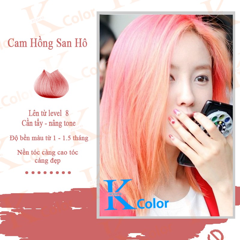 Thuốc nhuộm tóc CAM SAN HÔ sử dụng tại nhà nhiều thảo dược giá rẻ Kcolor