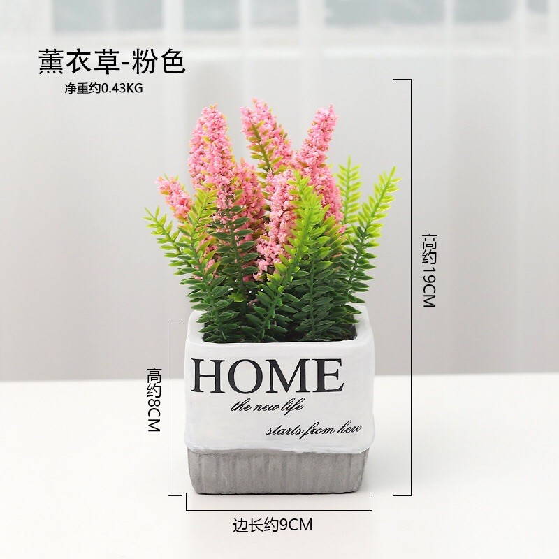 CHẬU HOME TRANG TRÍ ĐỂ BÀN