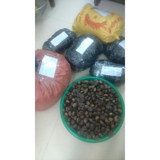 { FREE SHIP} Combo 5kg Hạt dẻ  bán LẺ giá SỈ