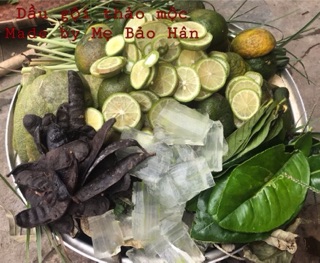 DẦU GỘI THẢO MỘC