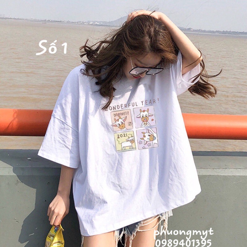 Áo phông 3D theo hình PM11