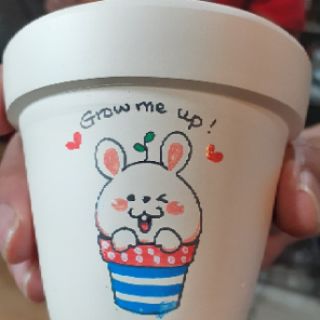 Chậu sen đá hình cute(chậu + sen đá)