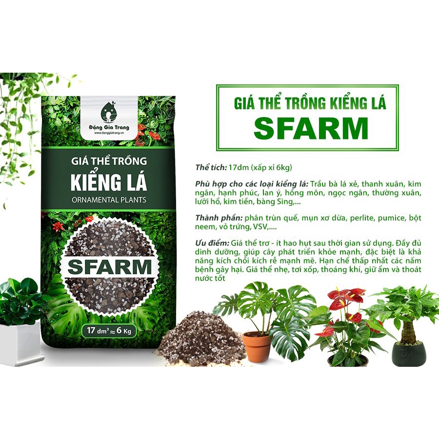 1kg Giá thể trồng cây kiểng lá SFarm_Đất trồng cây cảnh chơi lá dinh dưỡng, chất lượng cao tách lẻ từ bao 6kg