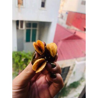 HỘP 500GR  ĐẬU CƯỜI THÁI LAN SẤY GIÒN SIÊU NGON