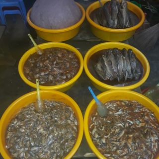 MẮM CÁ LINH ĐẶC SẢN AN GIANG