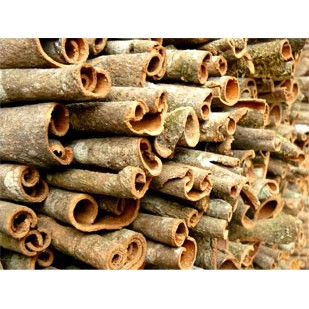 - 500gram - Vỏ Quế Quảng Nam Trà Mi khô cay