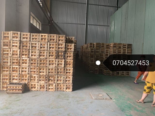 Chao Môn Vĩnh Phong Hủ Tiểu 220gram