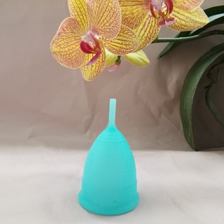 Cốc nguyệt san Senna Korean