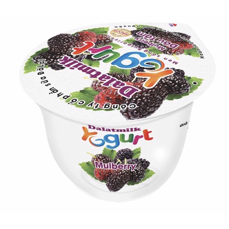 Sữa Chua Dalat Milk Dâu Tằm 100G