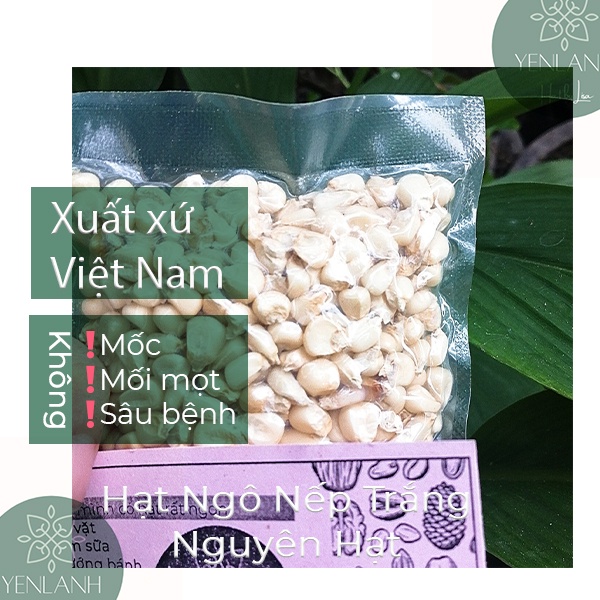 Ngô nếp khô- bắp khô nguyên hạt nấu xôi ngô- xôi bắp nhão sạch tại gia 500gr Yenlanhnatural