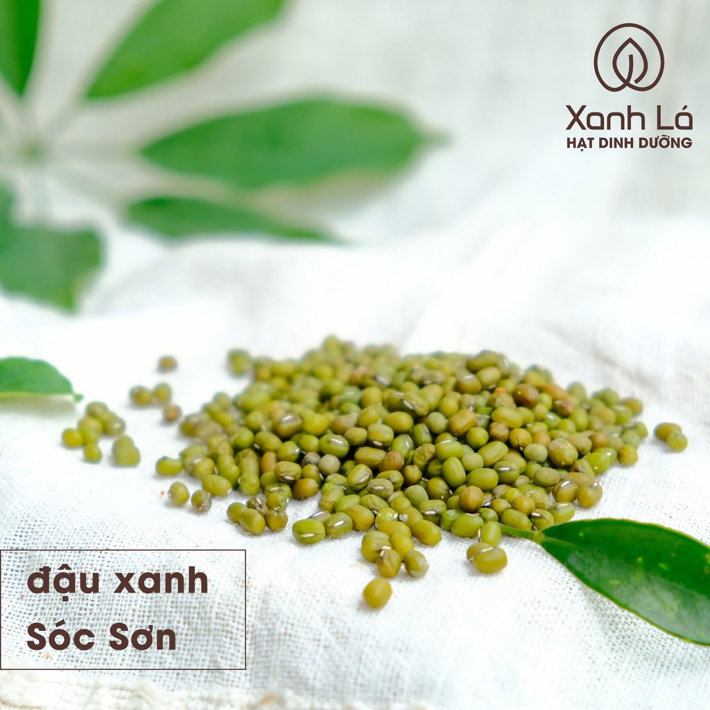 [CAM KẾT HÀNG CHUẨN] 11 Hạt hữu cơ cho bé ăn dặm, nấu sữa hạt 100gr SẠCH, thuần chủng, không biến đổi gen Xanh Lá | BigBuy360 - bigbuy360.vn