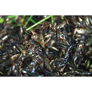 Mắm Chua Cá Lia Thia