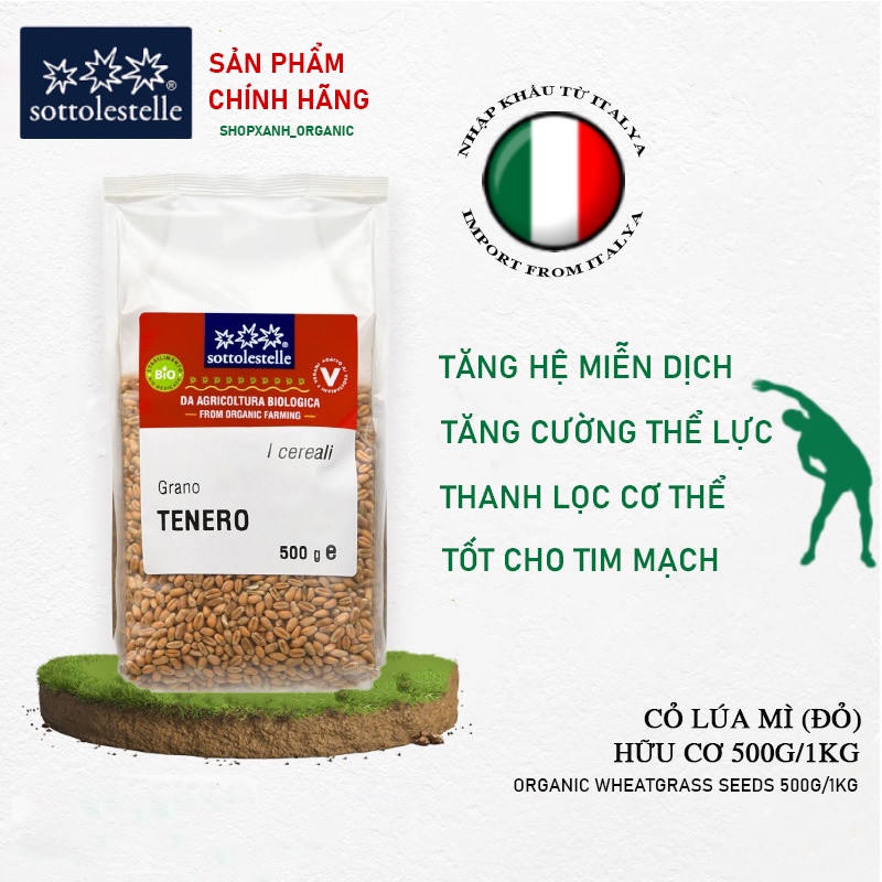 Set Hạt Giống Cỏ Lúa Mì Hữu Cơ Sottolestelle Tỉ Lệ Nảy Mầm 97%, Nảy Mầm Nhanh và Khay Trồng Thủy Canh - SHOPXANH ORGANIC