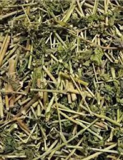 Cây bìm bịp ( Cây xương khỉ) khô 1 kg
