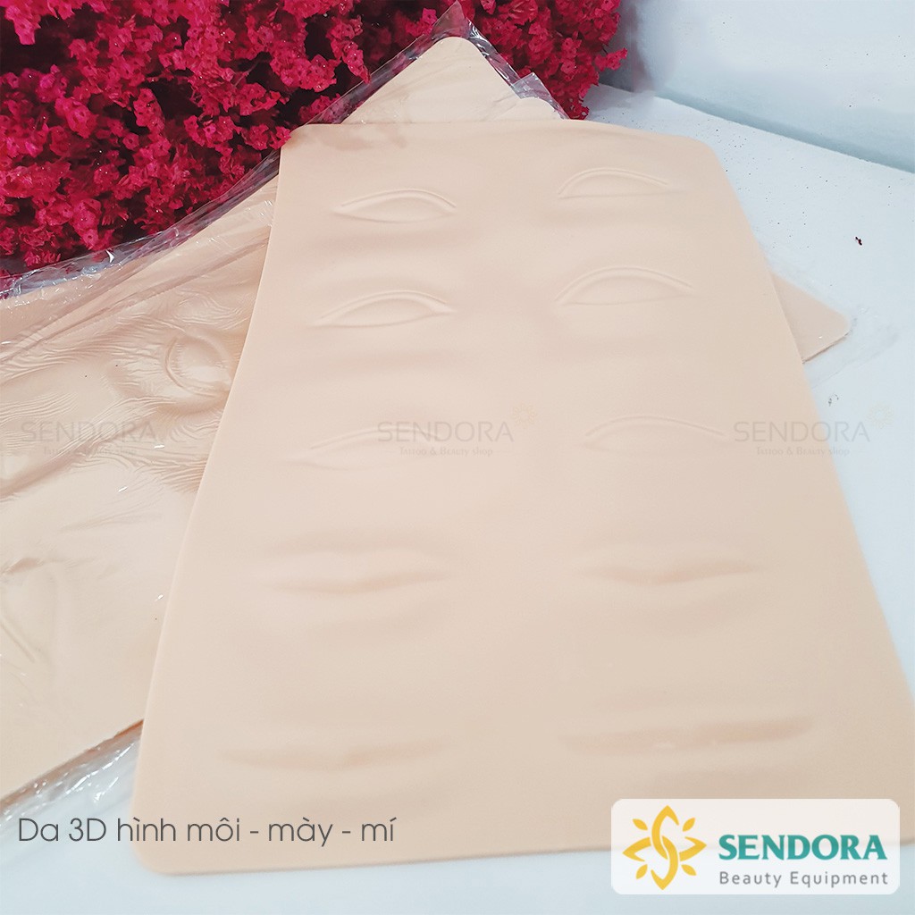 Da giả 3D - 4D tập phun xăm hình khuôn mặt, mày, môi, mí